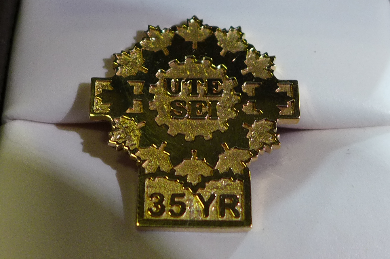 35 year pin